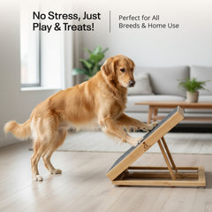 Bamboo Dog Nail Scratch Board with Treat Box