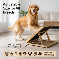 Bamboo Dog Nail Scratch Board with Treat Box