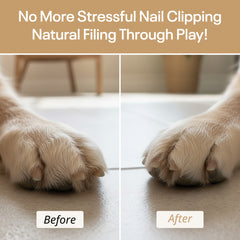 Bamboo Dog Nail Scratch Board with Treat Box